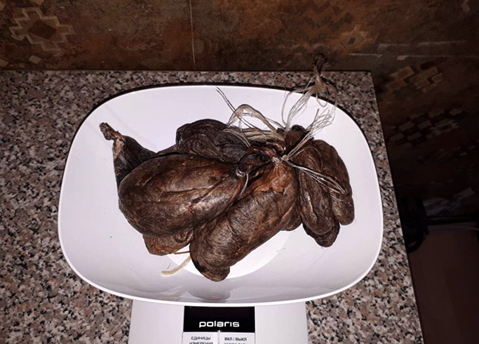 Струя бобра на весах