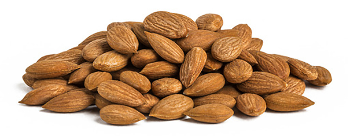 Сухие косточки абрикоса