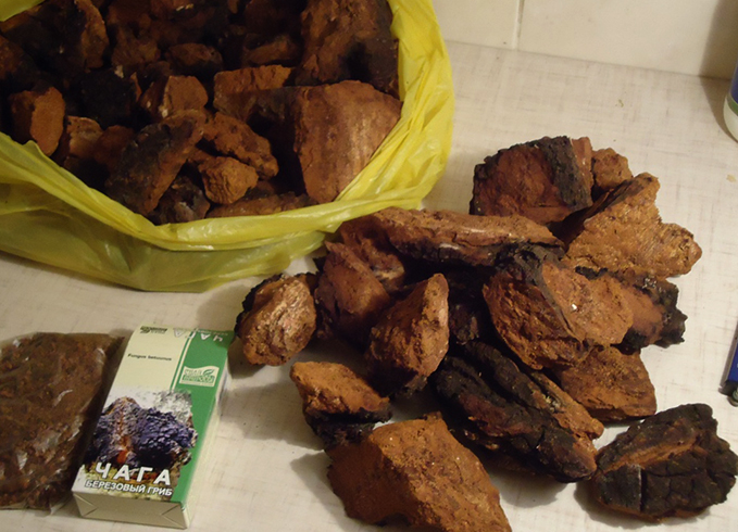 Сушенная чага