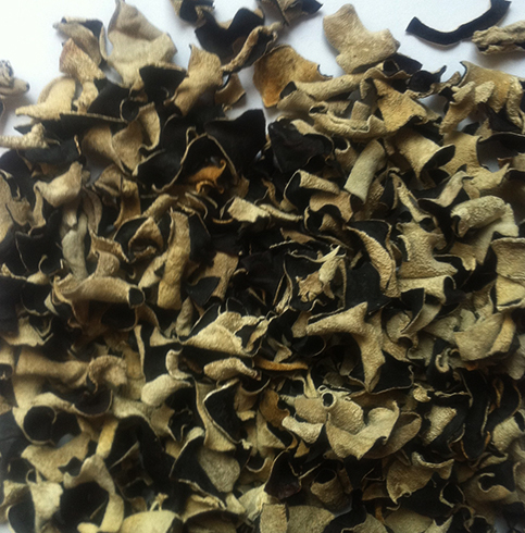 Сушены древесные грибы