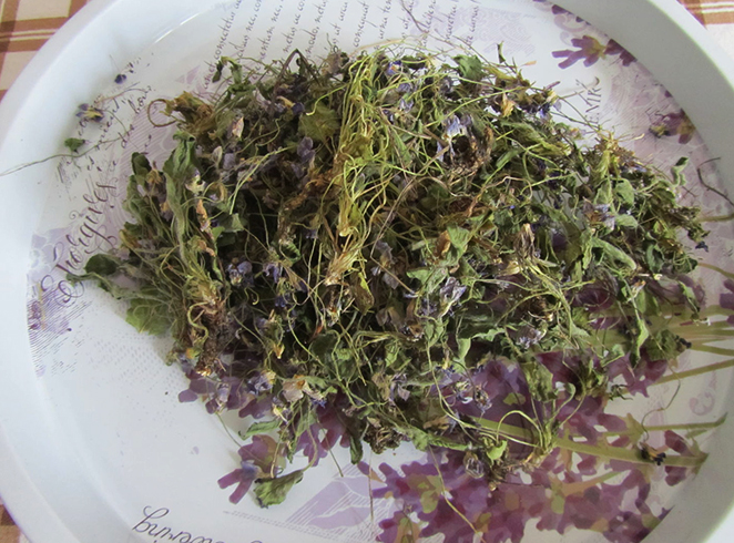 Сушеная фиалка
