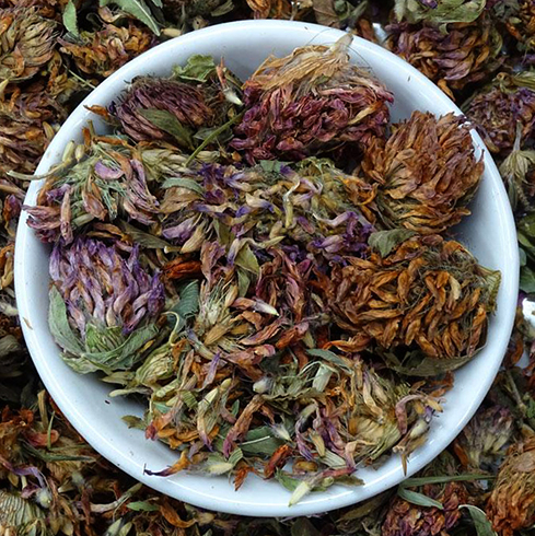 Сушеный клевер