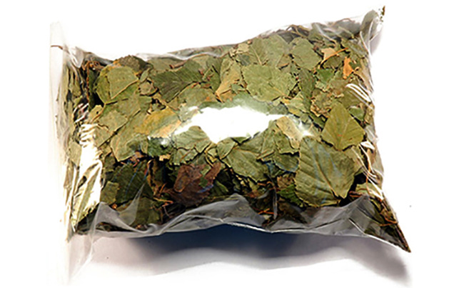 Сушенные листья березы