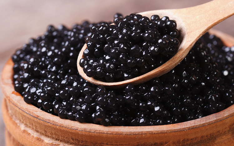 Свежая черная икра