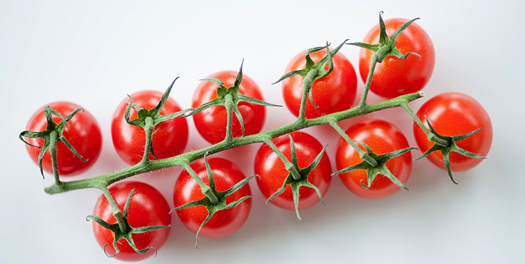 Свежесорванные черри