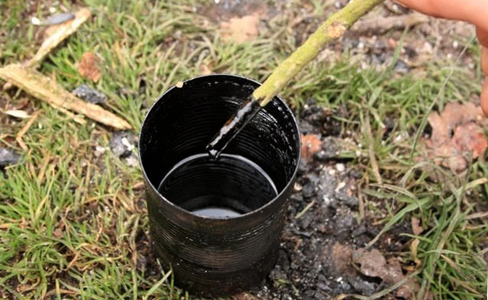 Свежий деготь