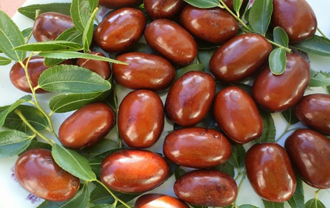 Свежие финики унаби