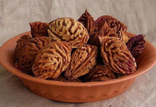 Свежие косточки персика