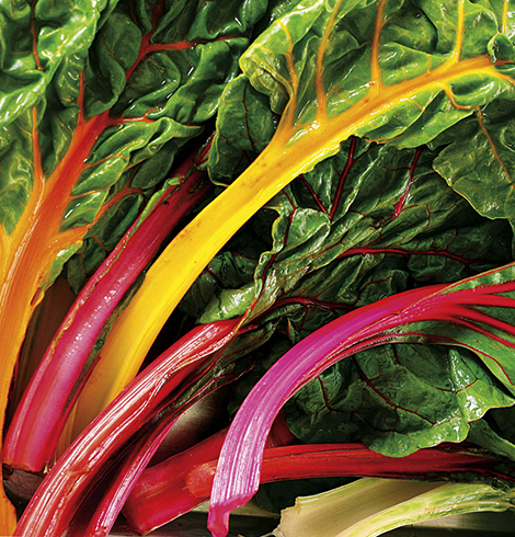 Свежий мангольд