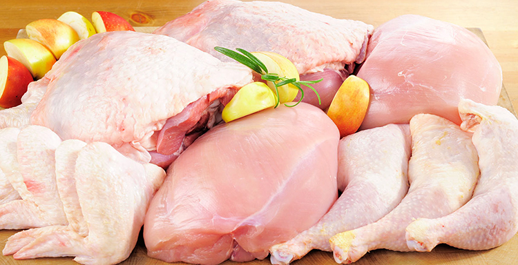 Свежее мясо курицы