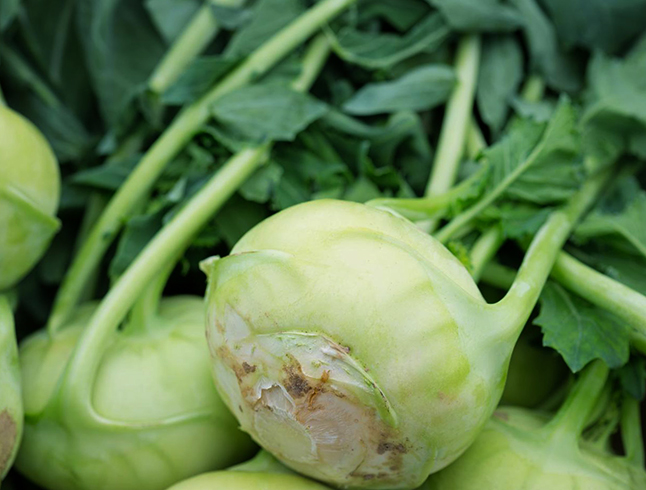 Свежие овощи кольраби