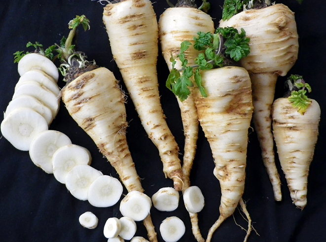 Свежий пастернак