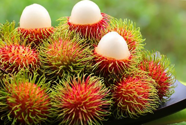 Свежие плоды рамбутана