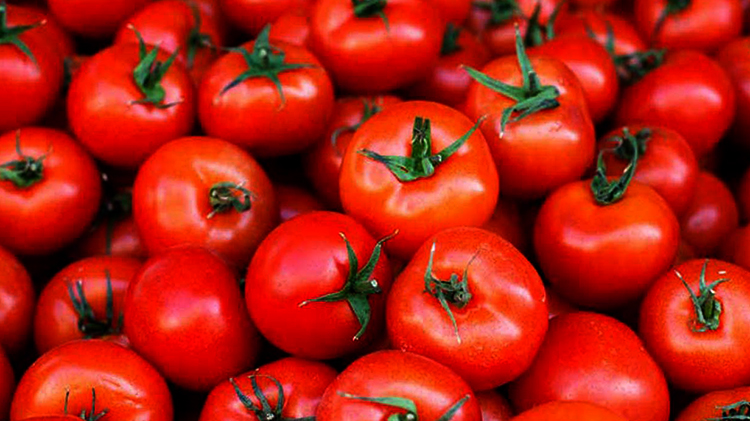 Свежие помидоры