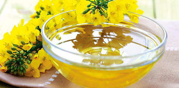 Свежее рыжиковое масло