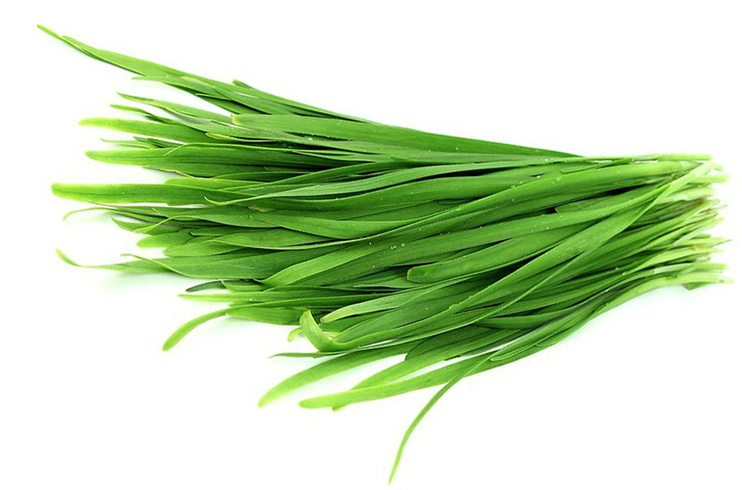 Свежий слизун