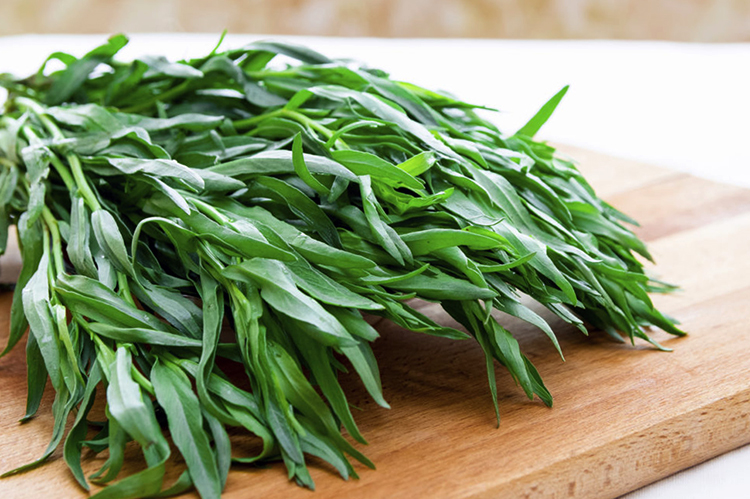 Свежий тархун