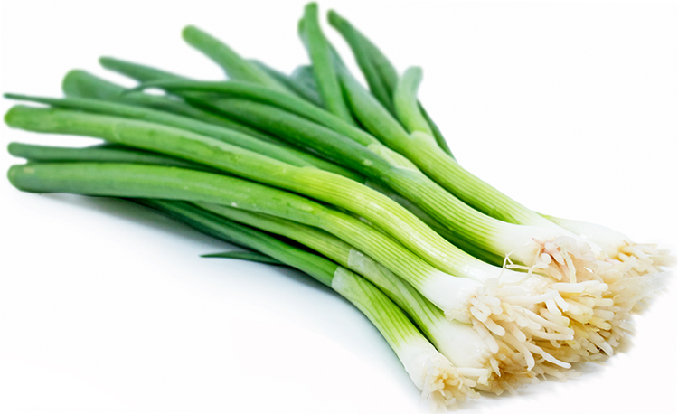 Свежий зеленый лук