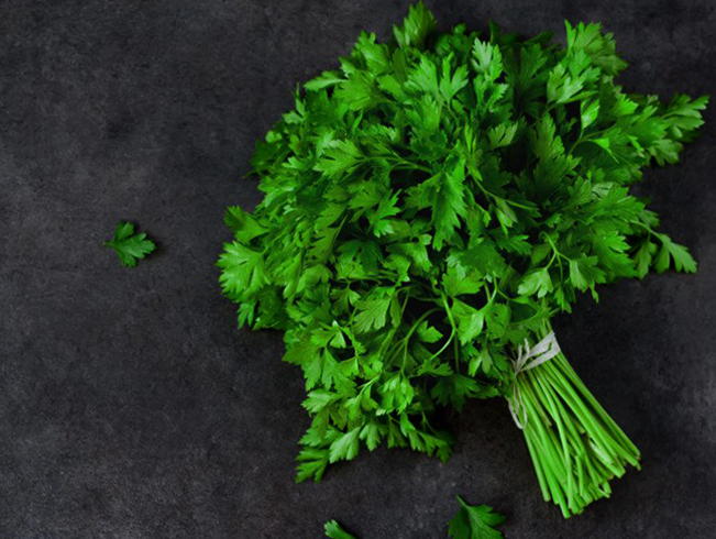 Свежая петрушка