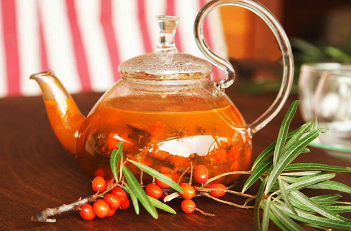 Свежий чай из облепихи