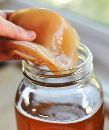 Как выглядит чайный гриб