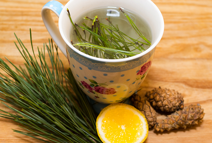 Чай из иголок