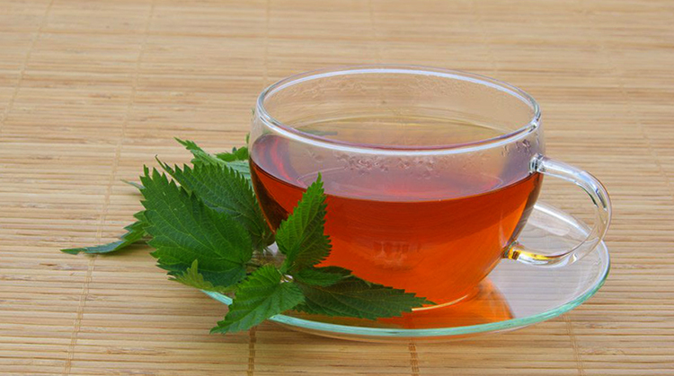 Чай из крапивы