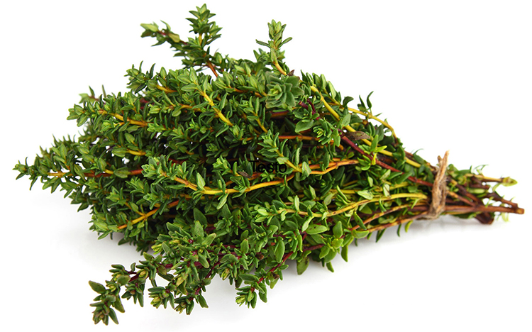 Свежий тимьян