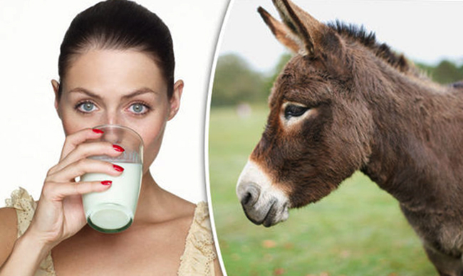 Употребление ослиного молока