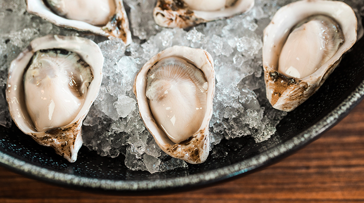 Устрицы и лед