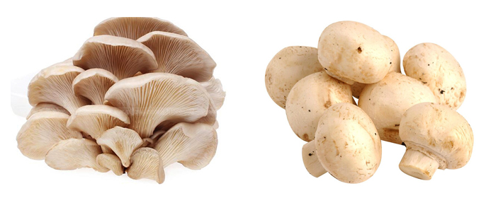 Вешенки и шампиньоны