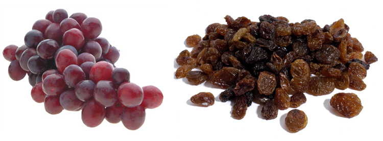 Виноград и изюм