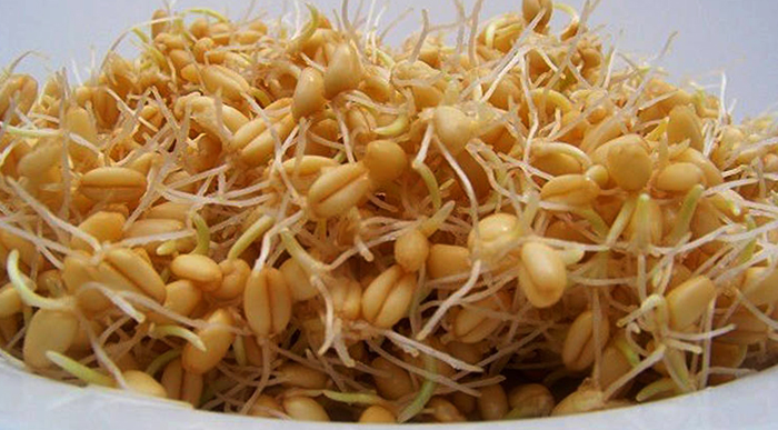 Во время приготовление пророщенной пшеницы