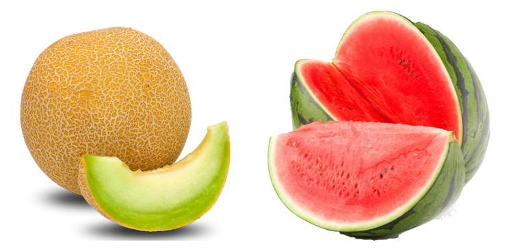 Дыня и арбуз