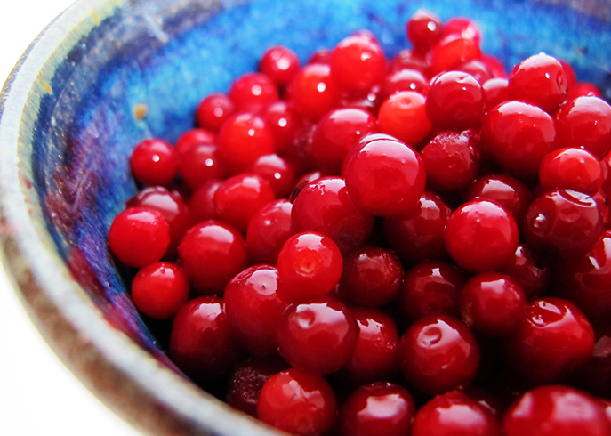 Ягоды брусники