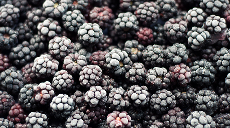 Замороженная ежевика