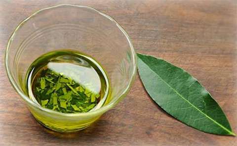 отвар лавровый лист