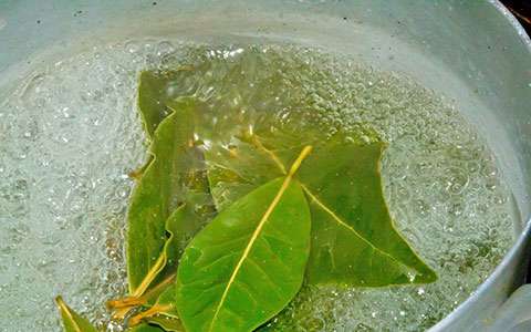 лавровый лист